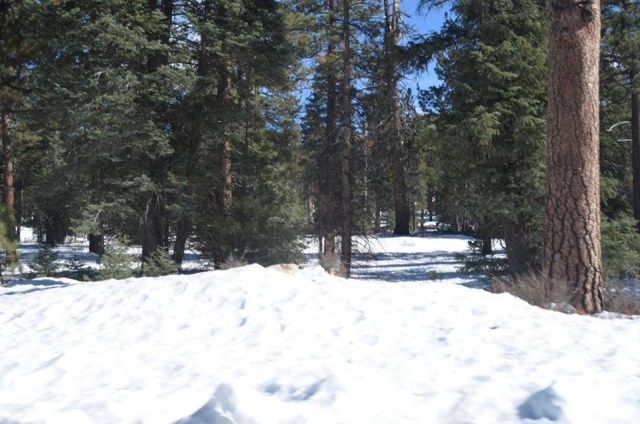 Disfruta de la nieve